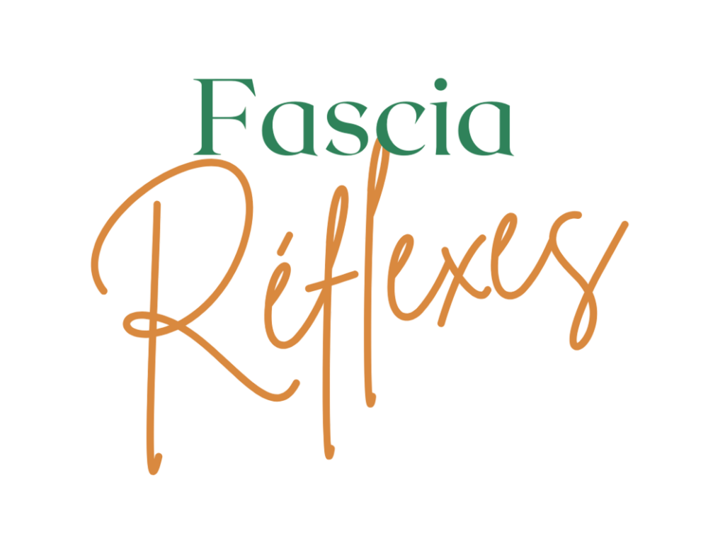 Fascia-Reflexes-Adultes-bg-white-1024x771.png